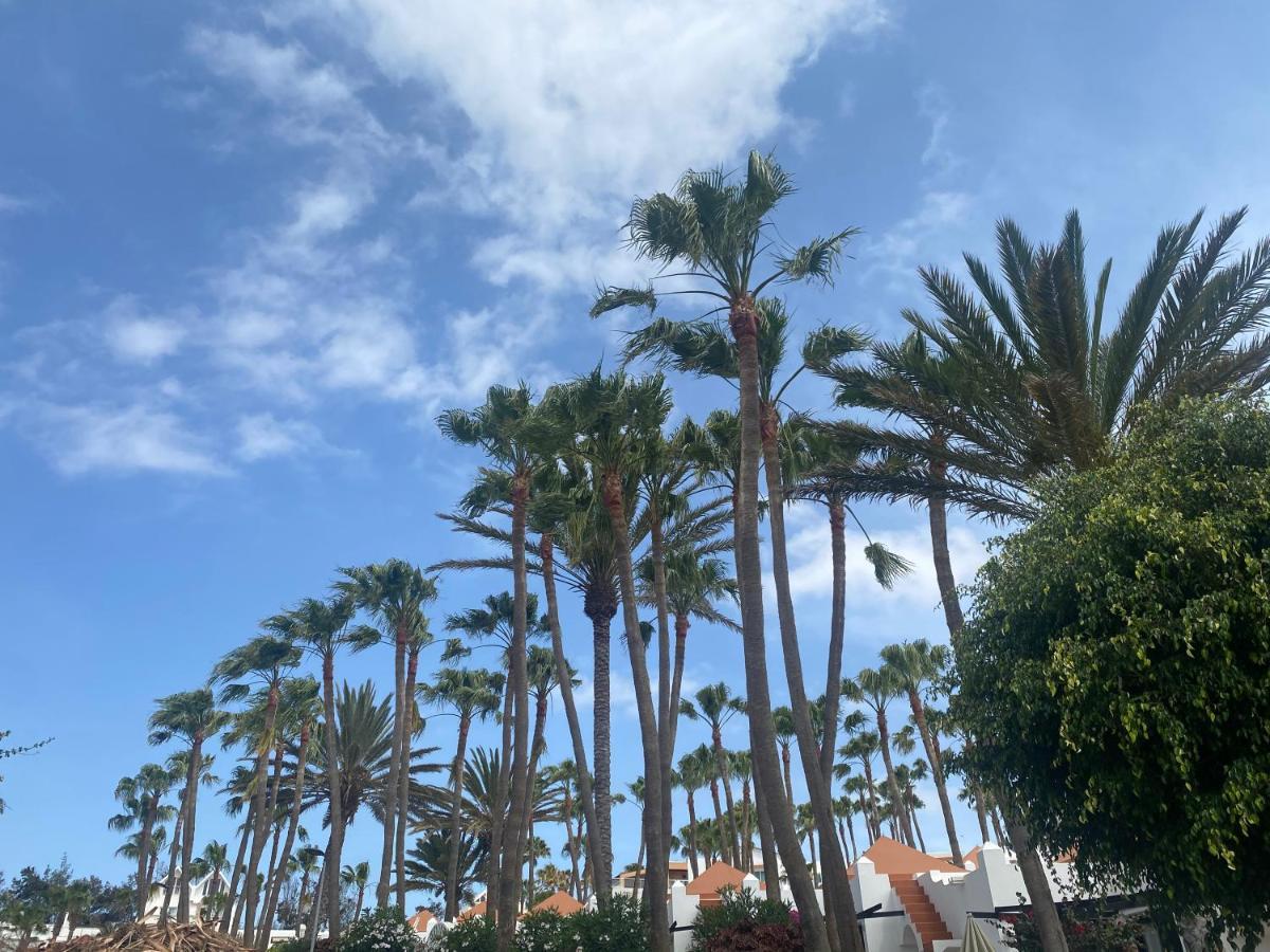 Brand New!! Green Oasis Costa Calma!!! !! Fast Wi-Fi !! 外观 照片